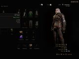 The Witcher 3 inventory