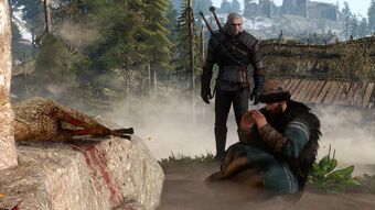Practicum In Advanced Alchemy Witcher Wiki Fandom