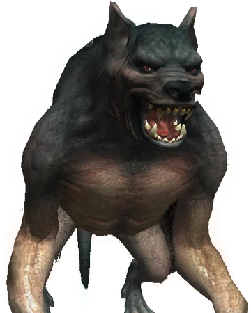 loup garou sorceleur wiki fandom loup garou sorceleur wiki fandom