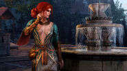Tw3 Alternate look for Triss