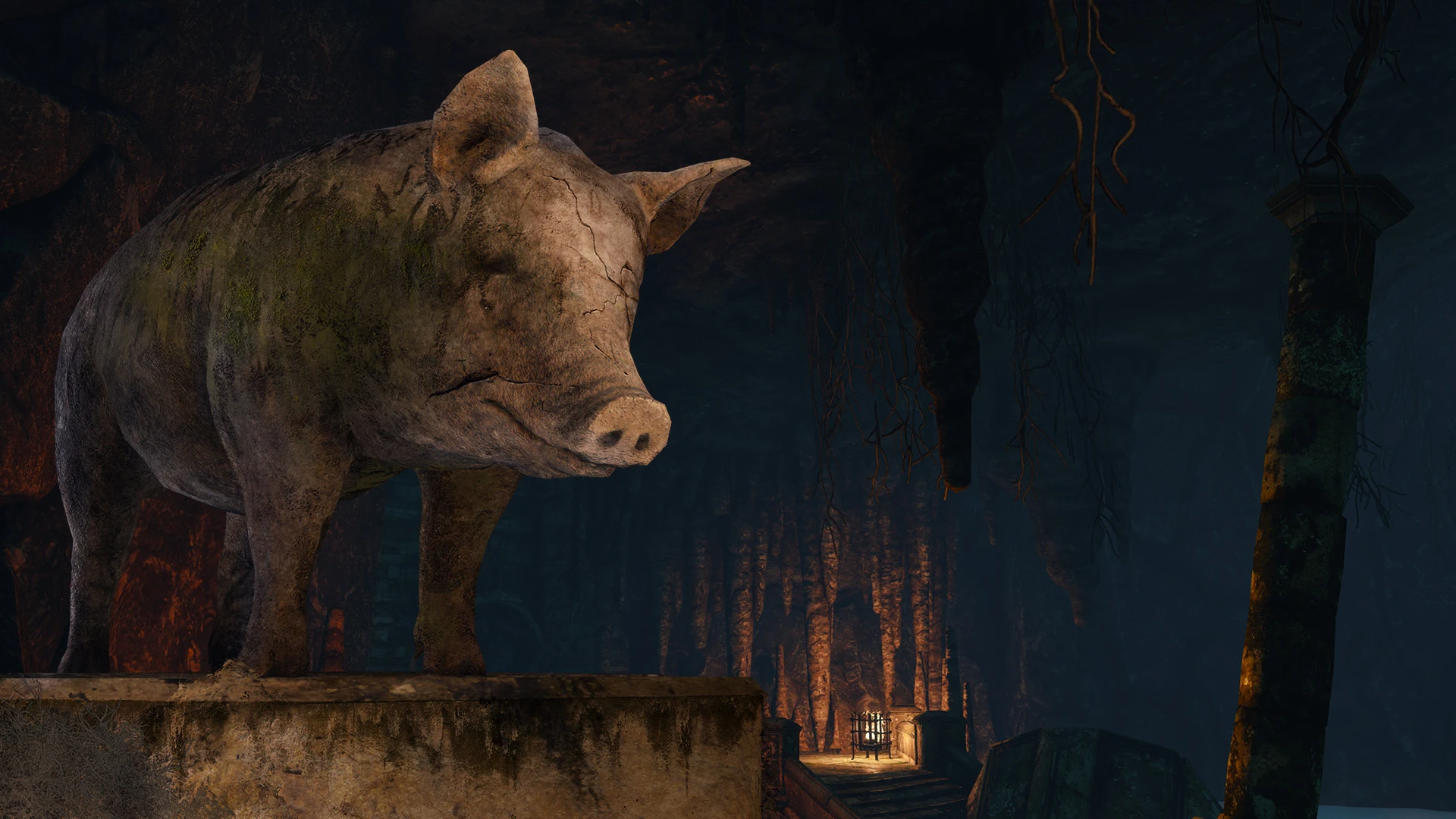 ذهب الحمقى ويكي الويتشر Fandom