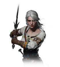 Tw3 journal ciri