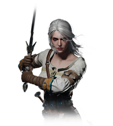 Tw3 journal ciri