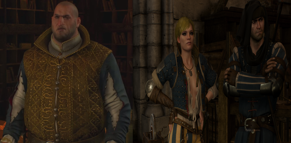 witcher 3 brothers in arms