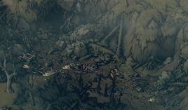 Abbot's Ravine TB