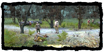 the lumberjack's glade