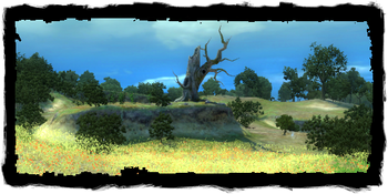 Places Raspberry Patch.png