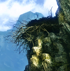 Harpy lair