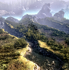 Forest Ravines