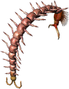 Giant centipede