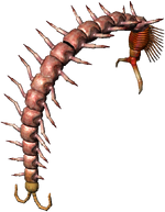 Bestiary Centipede full.png