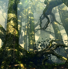 Flotsam forests