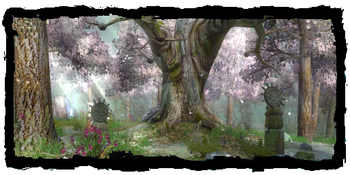 Druids' Grove in daylight