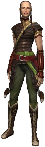 A half-elf from The Witcher computer game