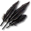 Tw3 griffin feathers.png
