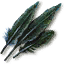 Tw3 monster feather.png
