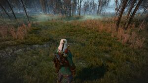 Tw3 geralt in crookback bog