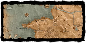 Cidaris