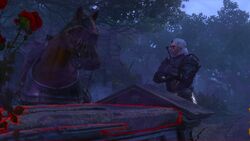Tw3 baw equine phantoms (6).jpg