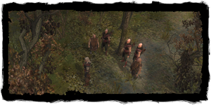 Geralt with his Scoia'tael posse