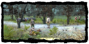 Places Lumberjacks glade
