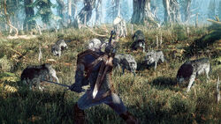 Tw3 screenshot 05.jpg
