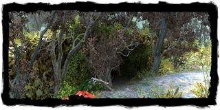 the cave