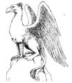 A griffon from Wiedźmin: Gra Wyobraźni PnP RPG. Illustration by Jarosław Musiał.