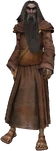 the Hermit