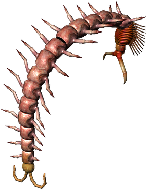 Bestiary Centipede full