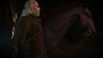 Black Beauty The Official Witcher Wiki