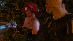 witcher wiki fandom