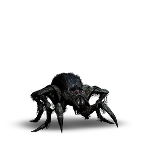 Tw3 journal arachnomorph