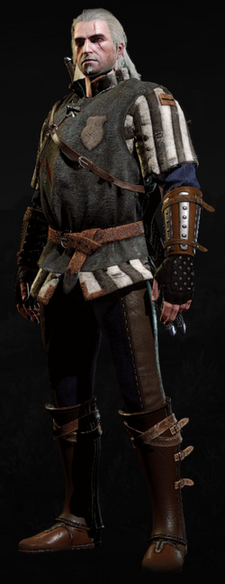 Tw3 armor kaedweni gambeson.png