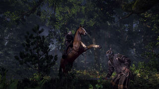 witcher 3 wii