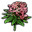 Flowers Orchid.png