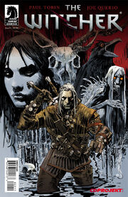 The Witcher Dark Horse cover no1