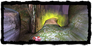 Scoia'tael path start point