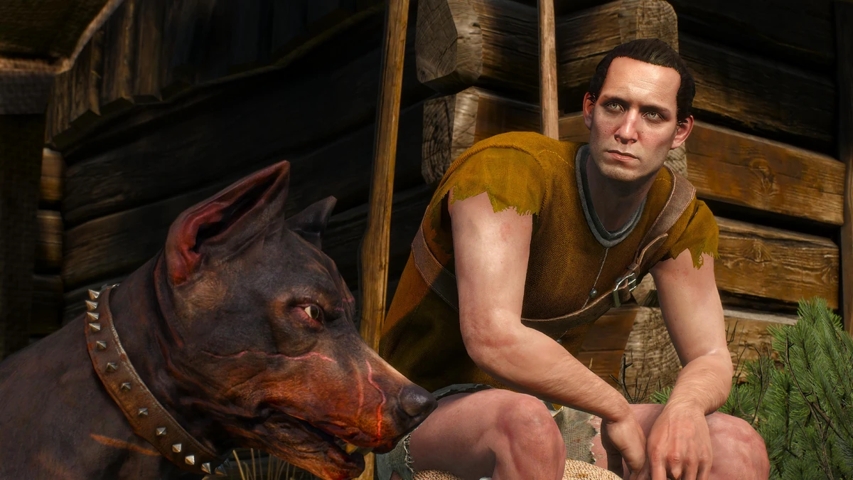 Husar Offizielles HexerWiki Charaktere, Monster, Orte, Alchemie