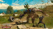The Witcher 3 Wild Hunt Blood and Wine Fighting the Giant RGB EN.png