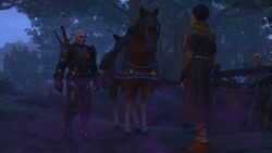 Tw3 baw equine phantoms (8).jpg