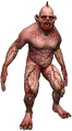Graveir