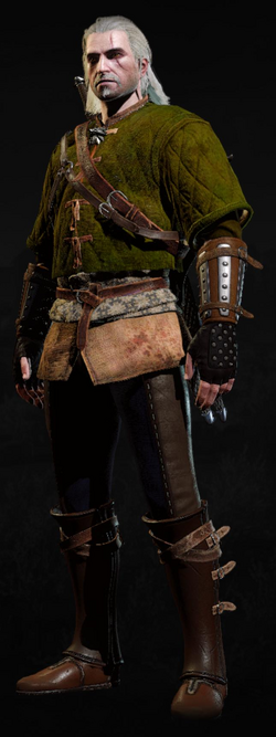 Tw3 armor skellige gambeson.png