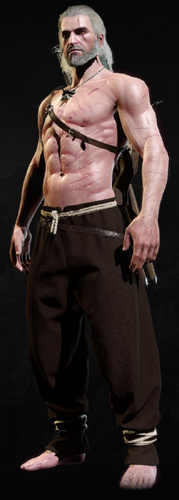 Tw3 armor skellige breeches.png