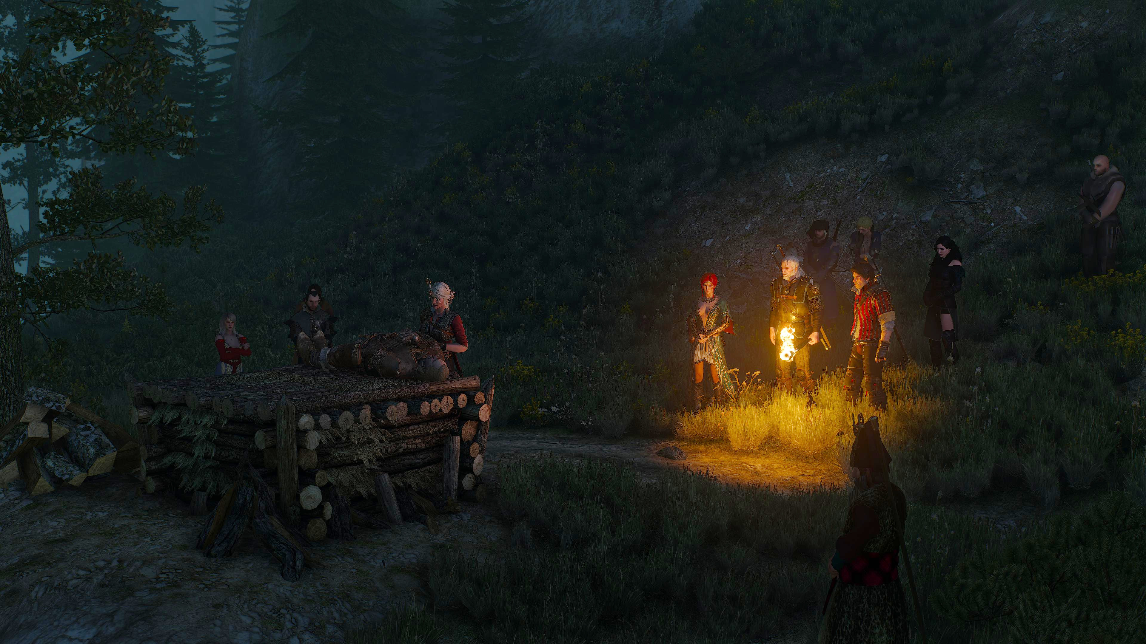witcher blood on the battlefield
