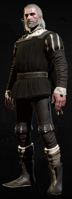 Tw3 armor elegant courtiers doublet 3.png