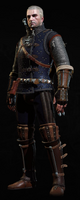 Tw3 armor superior feline gear