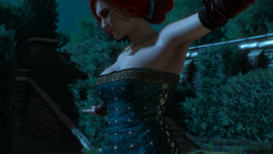 witcher wiki fandom