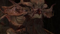 Ligner Rough sleep dejligt at møde dig A Tome Entombed - The Official Witcher Wiki