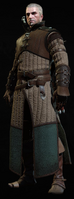 Tw3 armor enhanced ursine gear